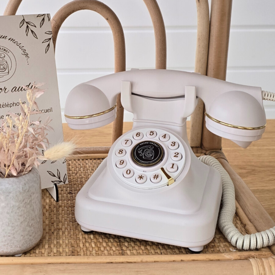 Rental of an audio guest book with your personal greeting, dispatch and return by post and all your guests' audio messages on a pretty wooden USB stick.